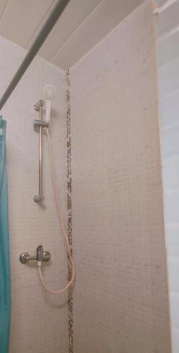 a shower with a shower head in a bathroom at Casita con mirador in Málaga