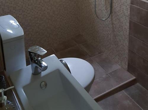 a bathroom with a white toilet and a sink at Rooms Milena in Lopud