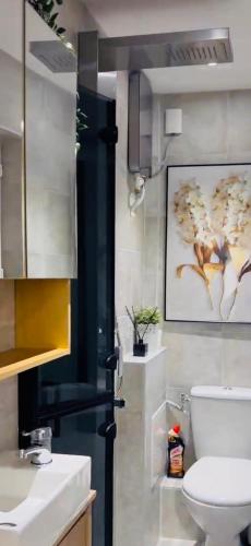 Studio 100m to Chatelet