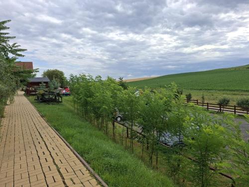 a brick path next to a field with a fence at La Hacienda in Cheţani