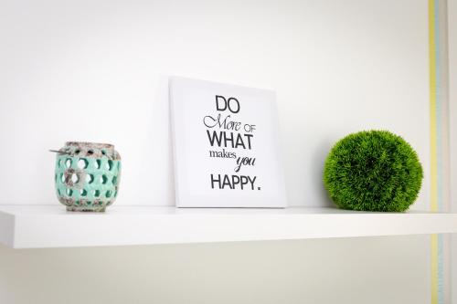 a shelf with a picture and a plant on it at Aqualiget-Apartmanház E-Car plug-in point Szeged in Szeged