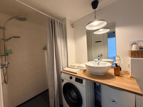 a bathroom with a sink and a washing machine at Green & Quiet Apartment in Haapsalu in Haapsalu