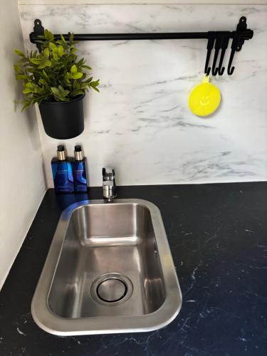 a kitchen sink with a potted plant on a counter at Tiny House - Surfers Paradise in Noordwijk