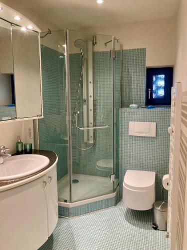 a bathroom with a shower and a toilet and a sink at Ferienwohnung Kalleby 26 in Quern