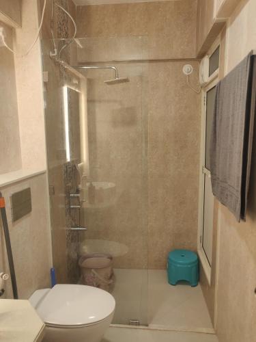 a bathroom with a toilet and a glass shower at 2BHK Luxurious Apt near BKC in Mumbai