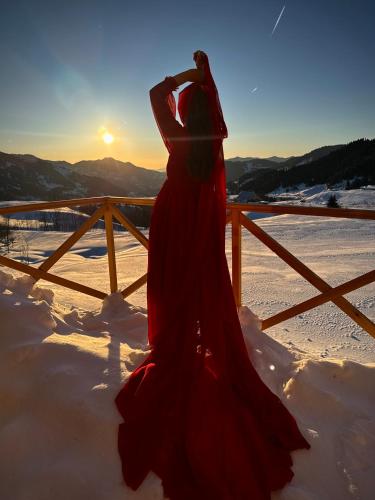 a woman in a red dress standing in the snow at Mountain View in Goderdzi