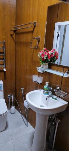 a bathroom with a sink and a mirror and a toilet at HALAL apartments in Tashkent city, Metro in Aktepa-Chigatay