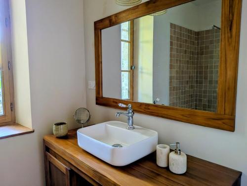 a bathroom with a sink and a mirror at La Selva in Busserolles