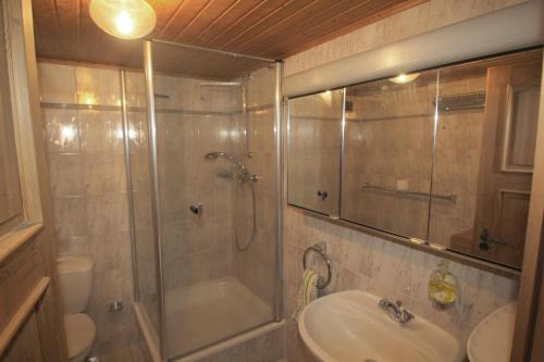 a bathroom with a shower and a sink at Ferienhaus Zum Herbertsche in Lemberg