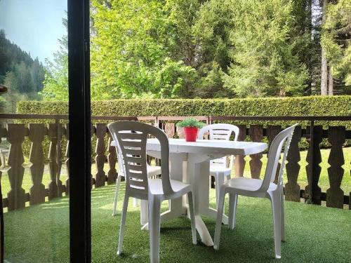 Charmant 2 pièces avec terrasse, proche commodités et navettes, 4 pers, WiFi, parking, Châtel