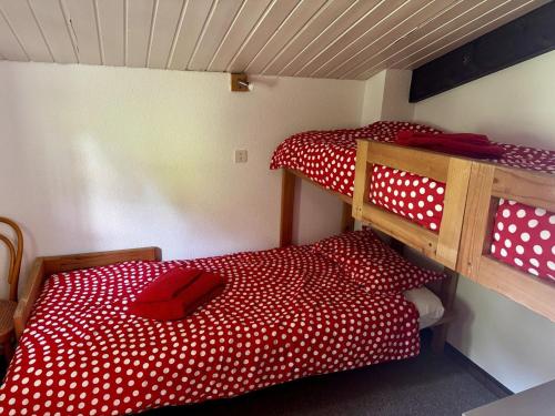 Chalet 6 pers à Châtel, proche centre et remontées, terrasse et équipements modernes