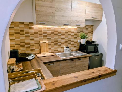 a kitchen with a sink and a microwave at Willa Murań in Murzasichle