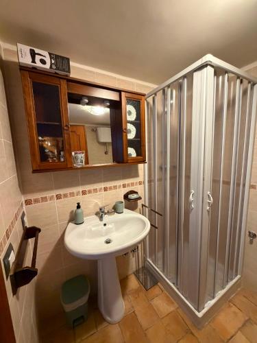 a bathroom with a sink and a shower at DiVa in Castelnuovo di Farfa