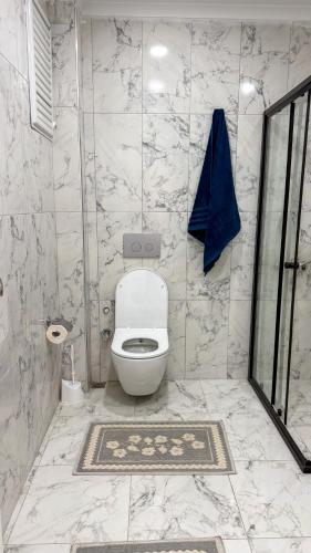 a bathroom with a toilet and a blue bag on the wall at Akçakale Konaklama in Akcaabat