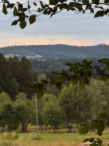 a view of a field with trees in the background at Stativa Przygorze201 Sowie Góry in Przygórze