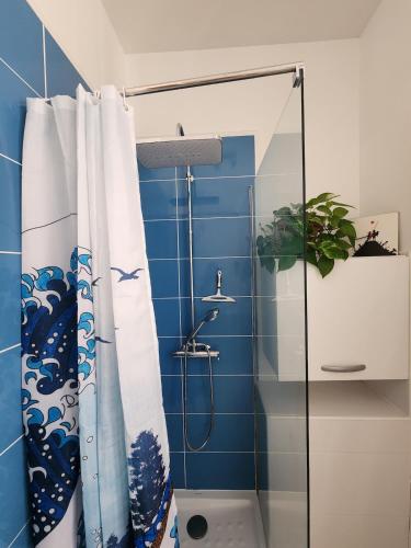 Beau T2 rénové