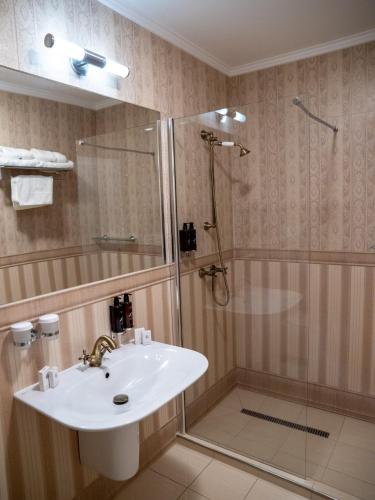 a bathroom with a sink and a shower at Hotel Kaštieľ Mojmírovce in Mojmírovce