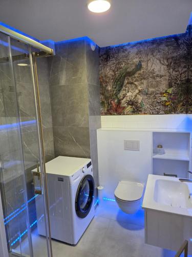 a bathroom with a washing machine and a toilet at GOLDEN HAUS Opole - Miss Gold & Mini Lux in Opole