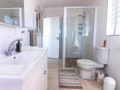 a bathroom with a toilet and a sink and a shower at Bluemist Accommodation in Gansbaai