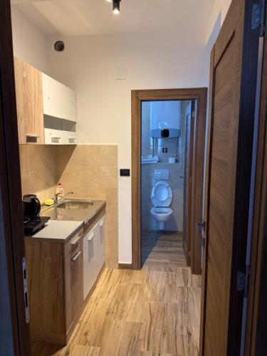 a small kitchen with a sink and a toilet at Alexandra in Prijevor