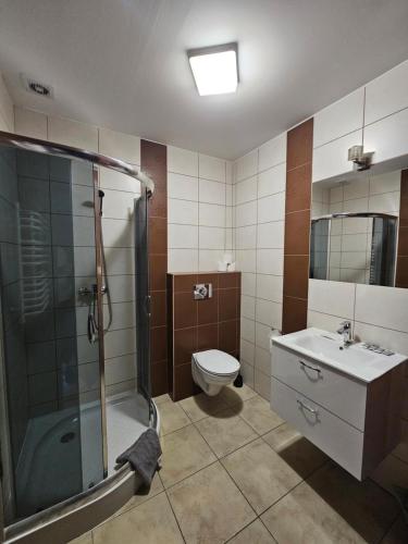a bathroom with a shower and a toilet and a sink at JURAJSKI OLSZTYN in Olsztyn
