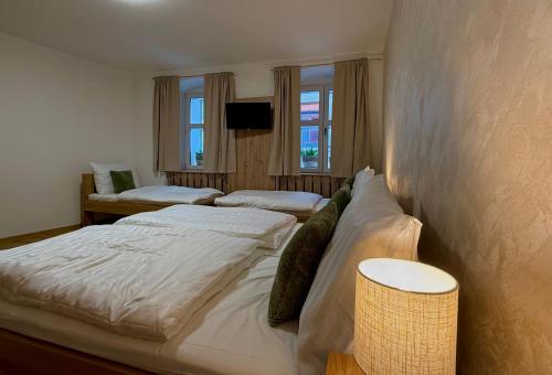 a bedroom with two beds and a tv on the wall at Penzion Tlustá kachna in Chrudim