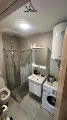a bathroom with a shower and a sink and a toilet at Eirene Residence in Vrnjačka Banja