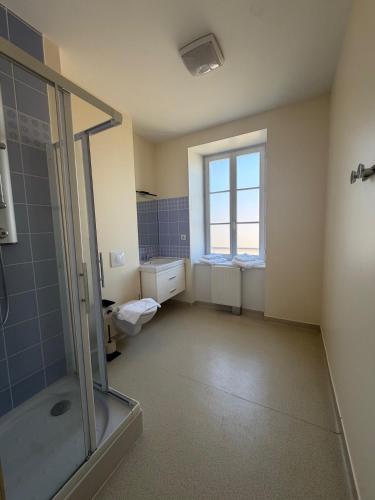 a bathroom with a shower and a toilet and a window at L'Eden du Forez in Le Brugeron