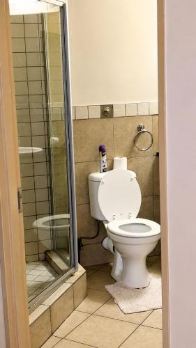 a bathroom with a toilet and a shower at Mapungubwe Hotel in Johannesburg