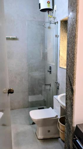 a bathroom with a shower with a toilet and a sink at The Palm Retreat Luxe 1bhk Near Thivim Station in Advolpale