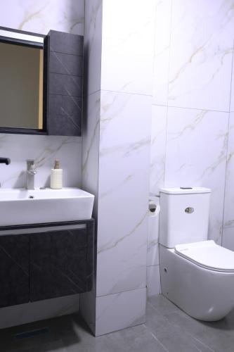 a bathroom with a toilet and a sink and a mirror at Newly Renovated 10 Min To Center in Gomi