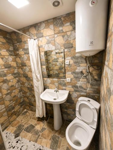 a bathroom with a toilet and a sink at Eka's guest house in Mestia