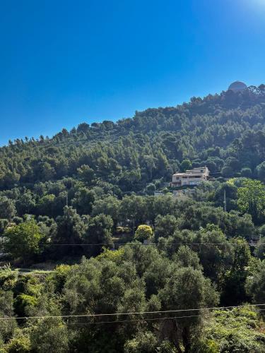 Guest House au Coeur de Nice
