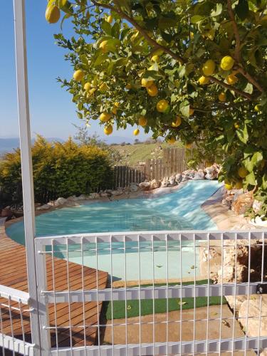a view of a pool from the balcony of a house at Betzel Ha'Ella in Kahal