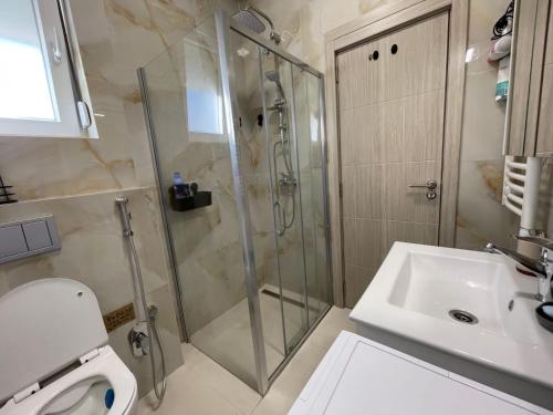 a bathroom with a shower and a toilet and a sink at LouAdria Apartments in Đenovići