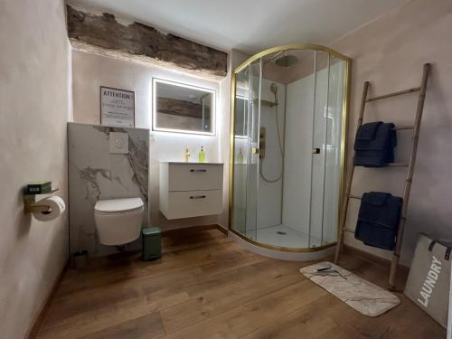 a bathroom with a shower and a toilet and a sink at Ferme La Hougue B&B in Coigny