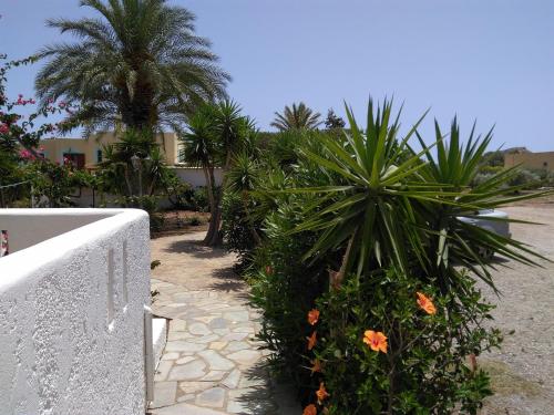 un jardín con palmeras y plantas junto a una valla en Grandes Apartments Kouremenos, en Palaikastro