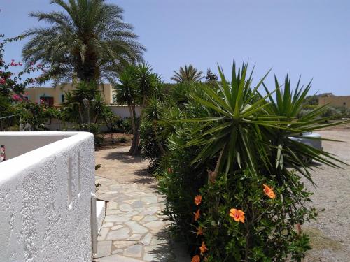 a garden with palm trees and plants next to a fence at Grandes Apartments Kouremenos in Palekastron