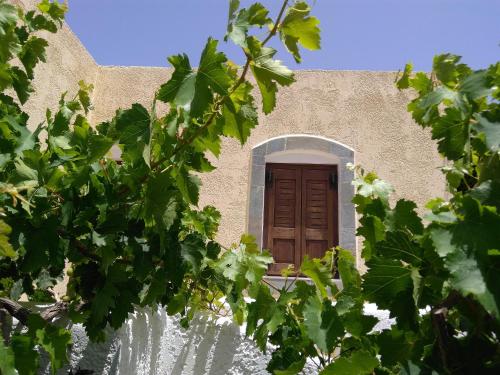 a building with a brown door and some green leaves at Grandes Apartments Kouremenos in Palekastron