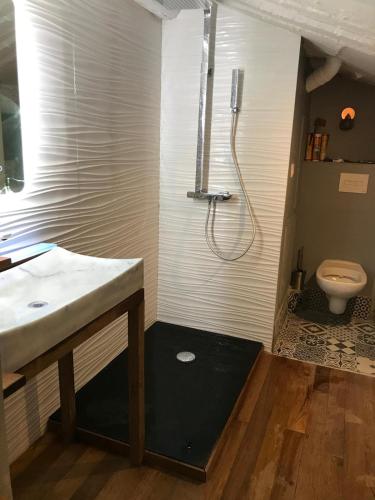 a bathroom with a shower and a sink and a toilet at Le petit nid Aixois in Aix-en-Provence