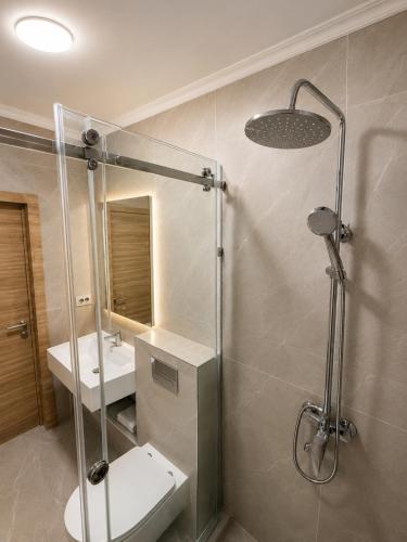 a bathroom with a shower and a toilet and a sink at Aqua Hotel in Bishkek