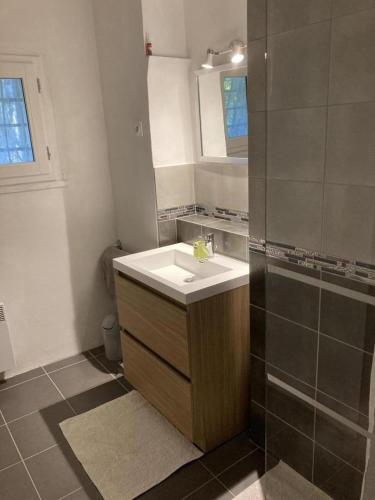a bathroom with a sink and a shower at Le gîte petit-conil in Correns