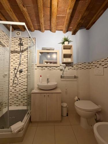 a bathroom with a shower toilet and a sink at La casa di Samarcanda in Uliveto Terme