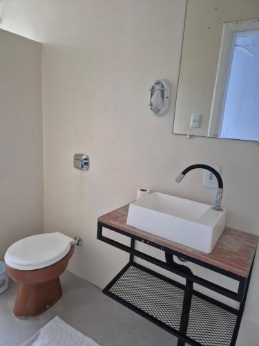 a bathroom with a sink and a toilet at Hotel Eduardo's in Rio do Sul