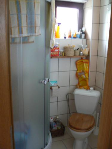 ein Bad mit einem WC und einer Glasdusche in der Unterkunft Chata u Smolíků in Borovany