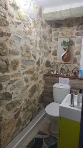 a stone bathroom with a toilet and a sink at Mas de chalvagne in Val-de-Chalvagne