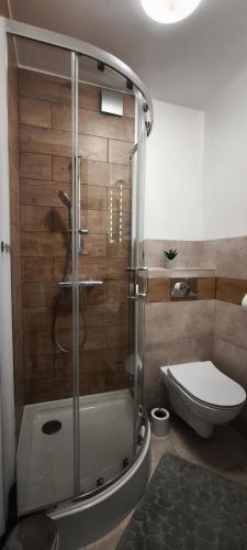 a bathroom with a shower and a toilet at Willa Aura in Łeba