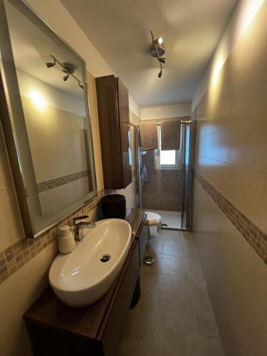 a bathroom with a sink and a mirror at Casa Balzarini- Vecchio Mulino in Entracque