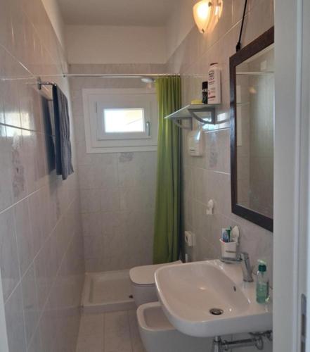 a bathroom with a sink and a toilet and a mirror at Alpina Sanico in Toscolano Maderno