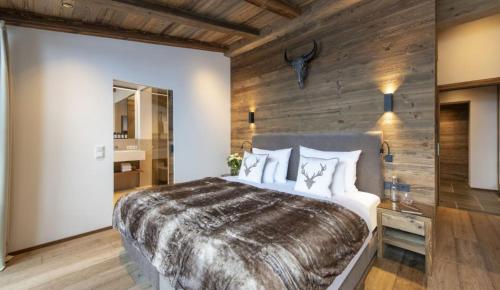 Spacious and comfortable property in Les Gets